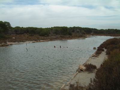 DSCF0075.JPG